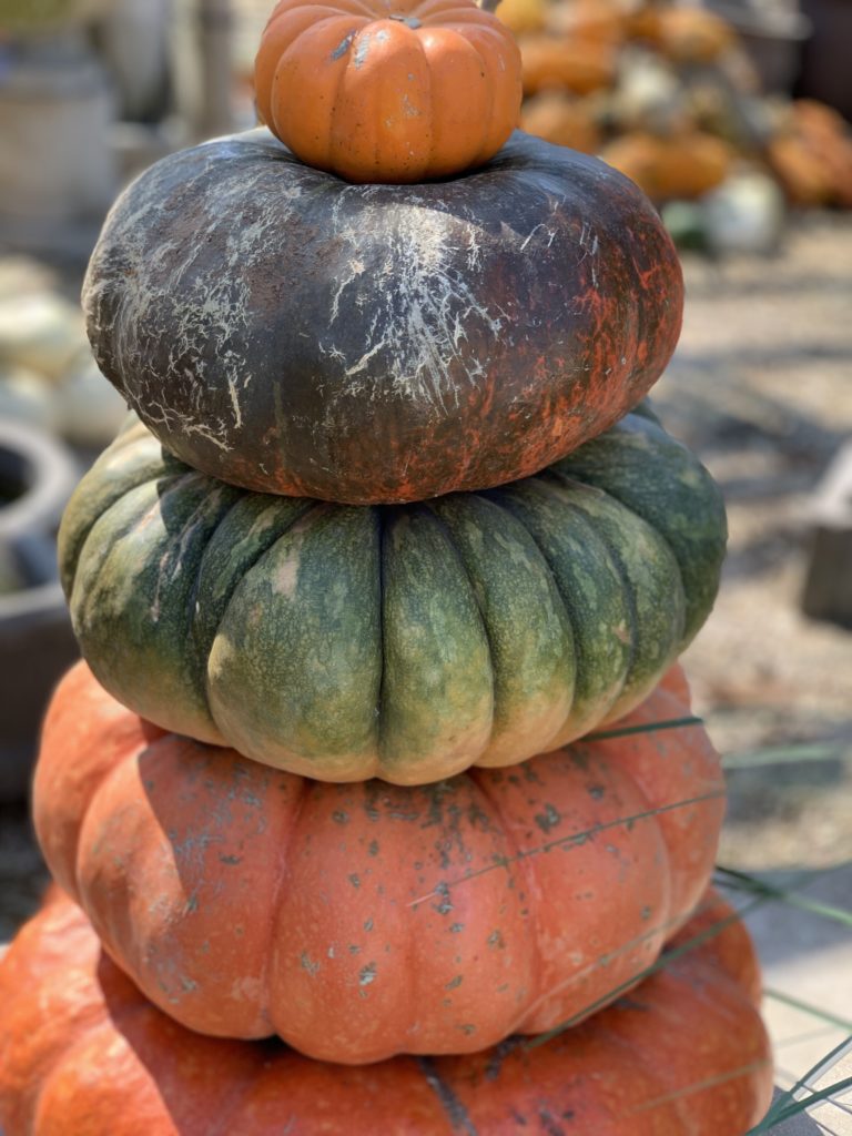 Fall Pumpkin Stack for Decorating